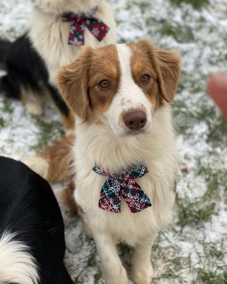 Saillie de Sky avec Rahan !